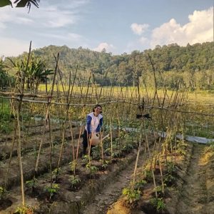 Pelatihan pembuatan kompos dan POC